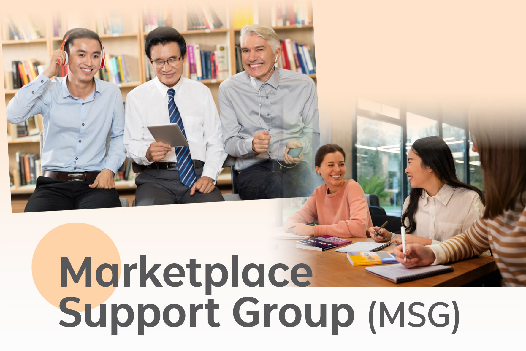 Marketplace Support Group (MSG)